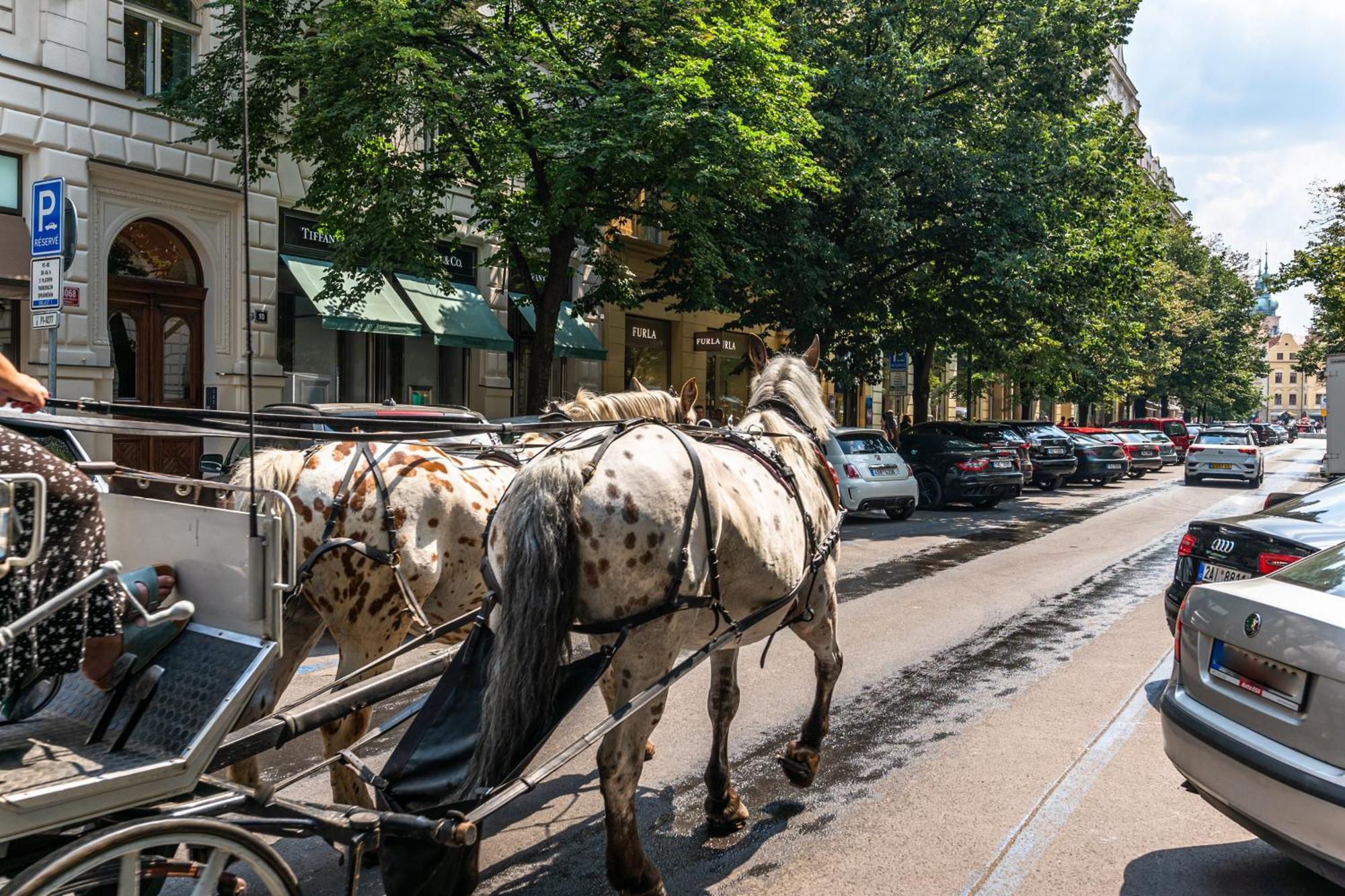 Wishlist Prague Residences - Old Town Bilkova Buitenkant foto